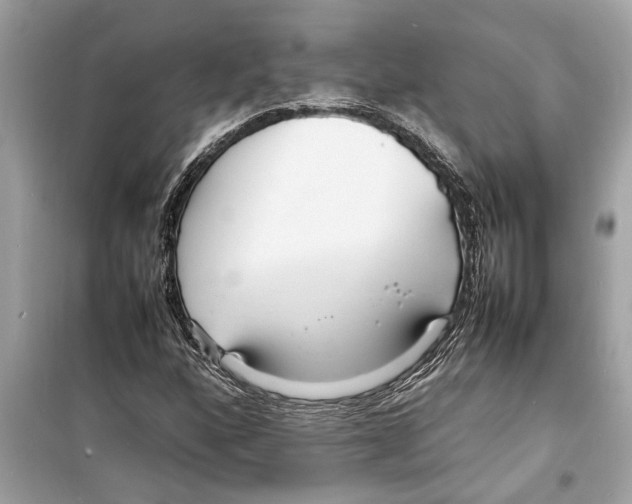X0000098221160200805221642