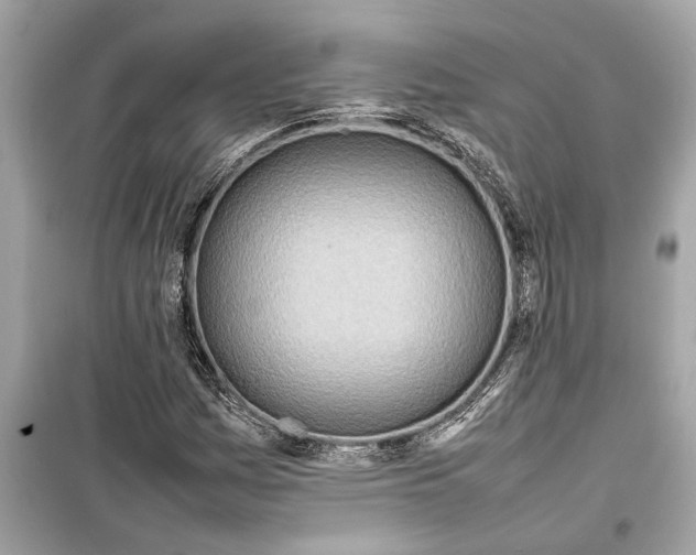 X0000098221161200805221642