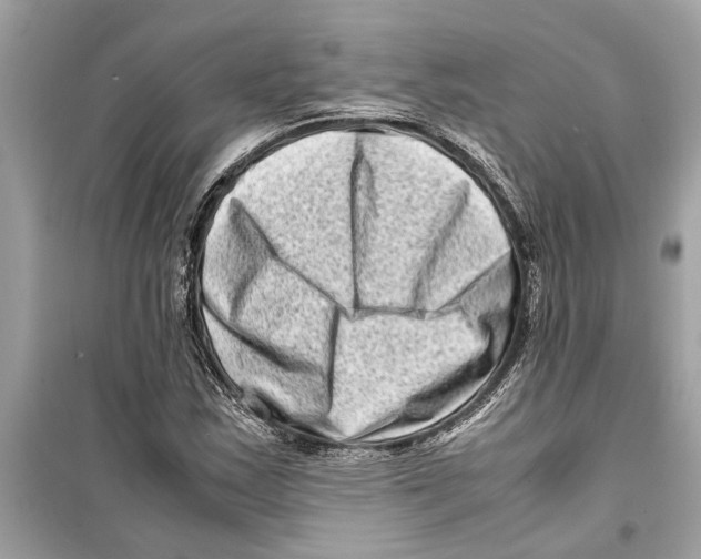 X0000098221163200805221642