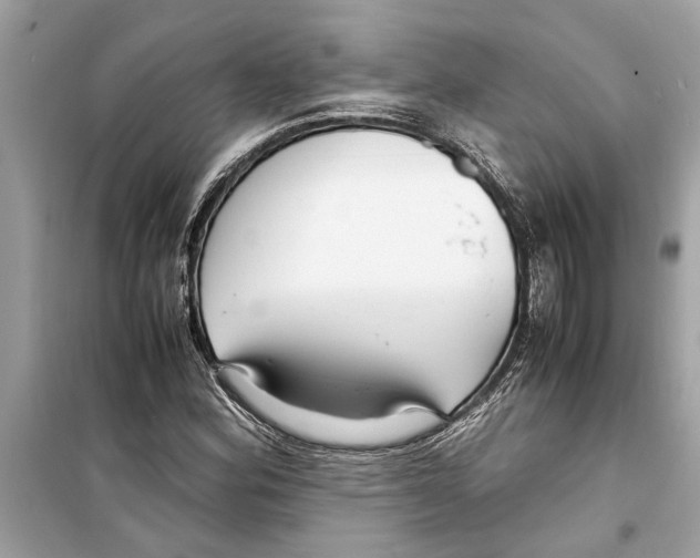 X0000098221164200805221642