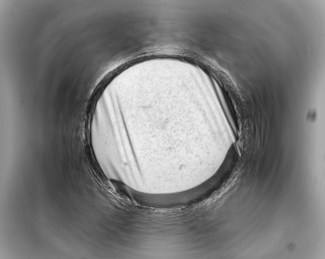 X0000098221166200805221642