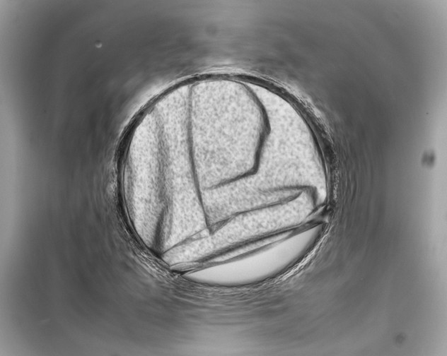 X0000098221167200805221642