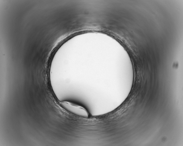 X0000098221168200805221642