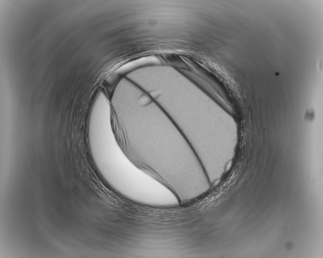 X0000098221169200805221642