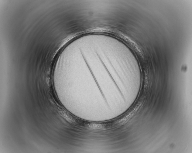X0000098221170200805221642