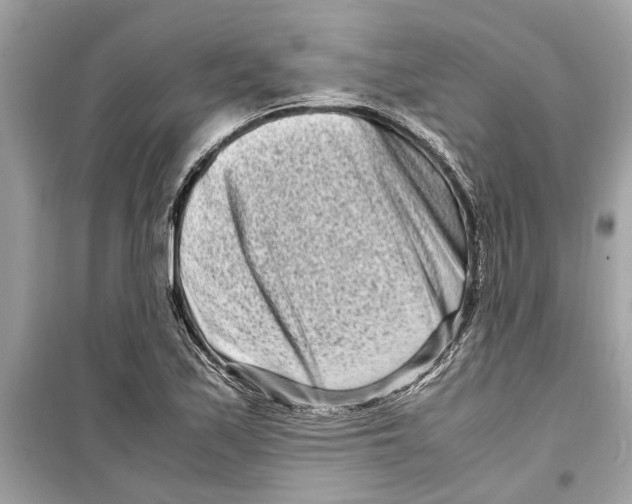 X0000098221171200805221642