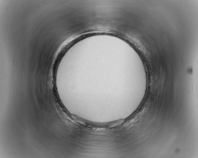 X0000098221172200805221642