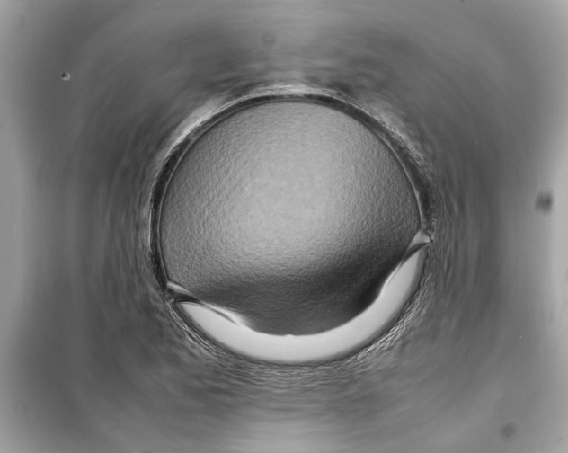 X0000098221173200805221642