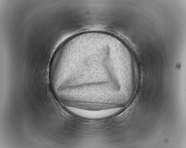 X0000098221174200805221642