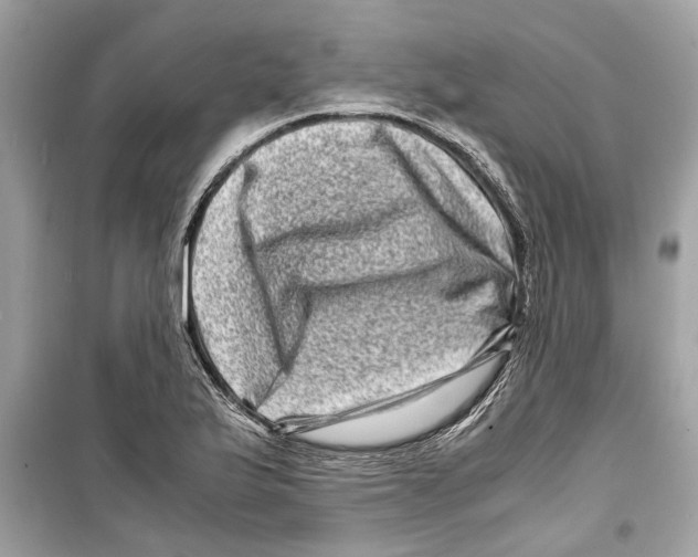 X0000098221175200805221642