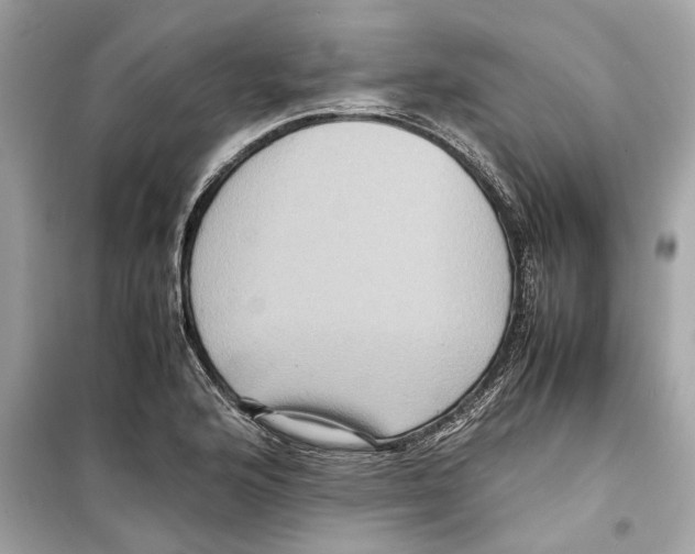 X0000098221176200805221642