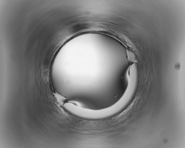 X0000098221177200805221642