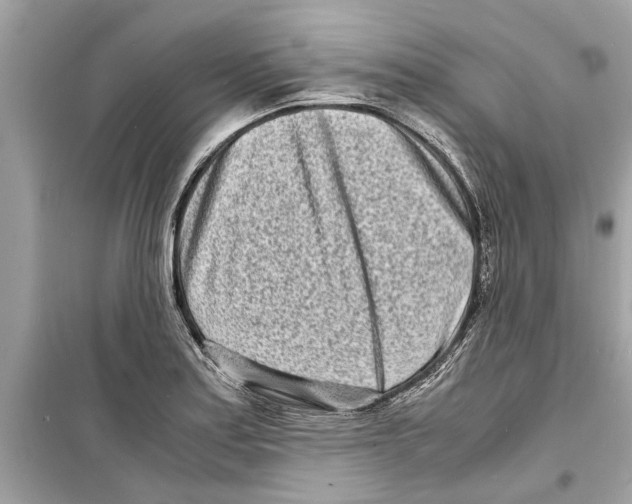 X0000098221179200805221642