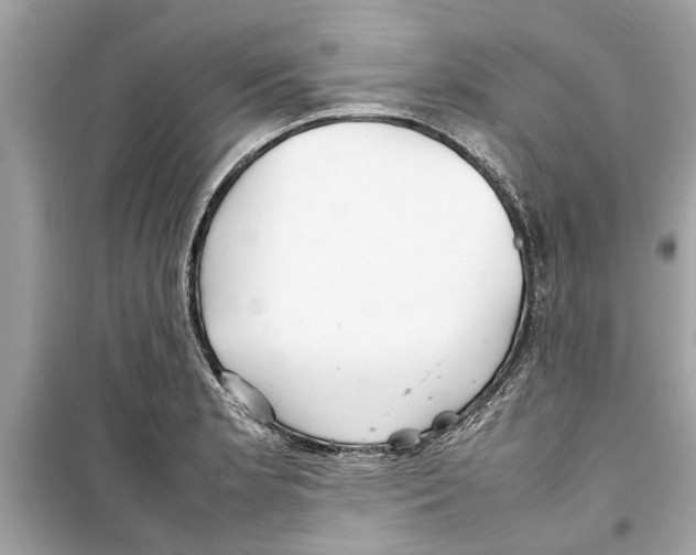 X0000098221181200805221642