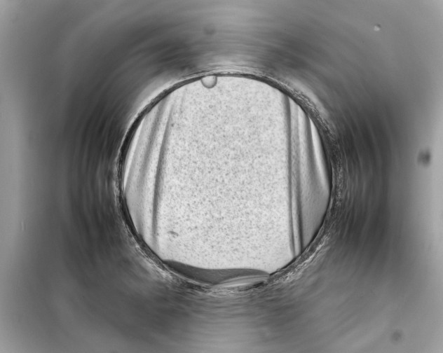 X0000098221182200805221642