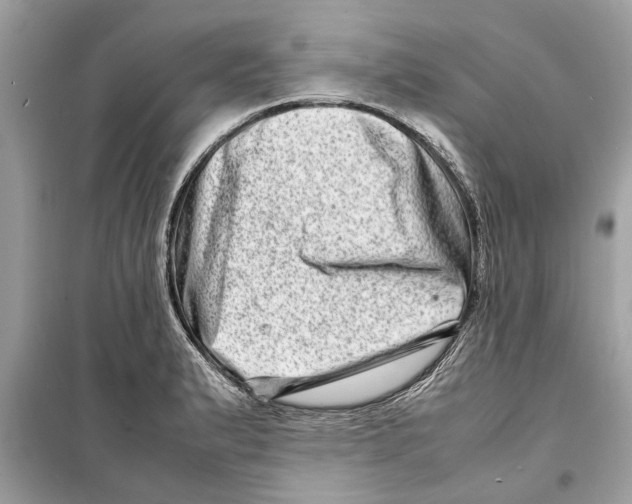 X0000098221183200805221642