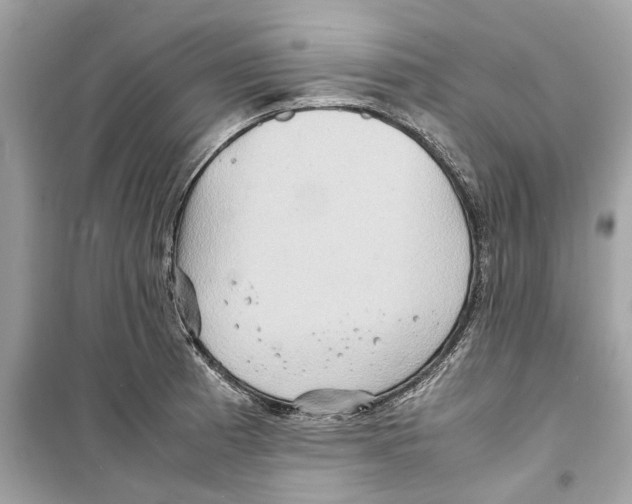 X0000098221185200805221642