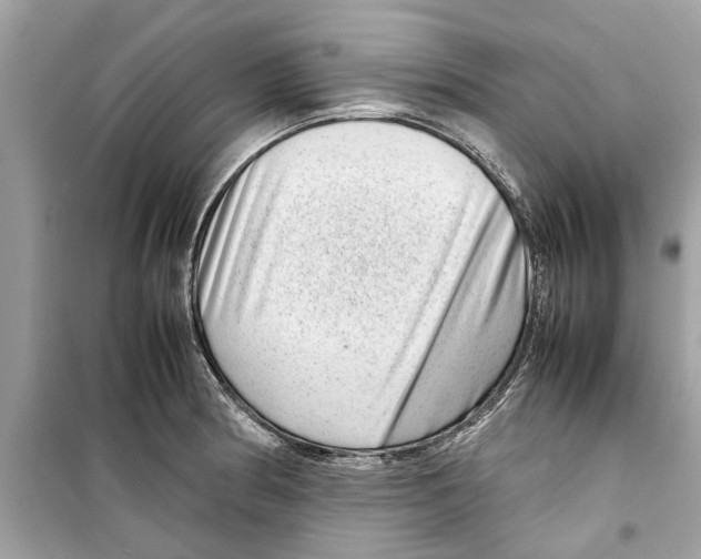 X0000098221186200805221642