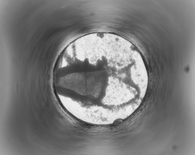 X0000098221187200805221642