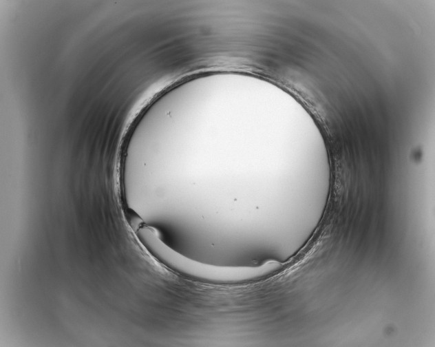 X0000098221188200805221642