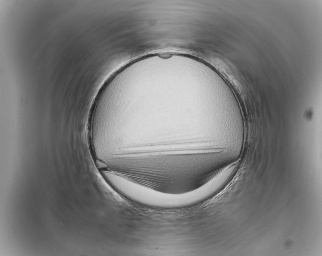 X0000098221189200805221642