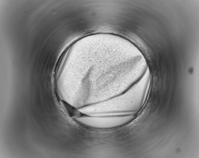 X0000098221190200805221642