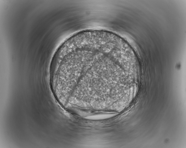 X0000098221191200805221641