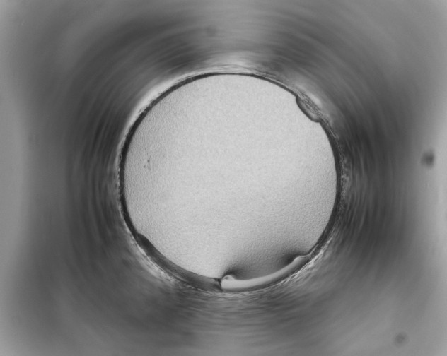 X0000098221192200805221641