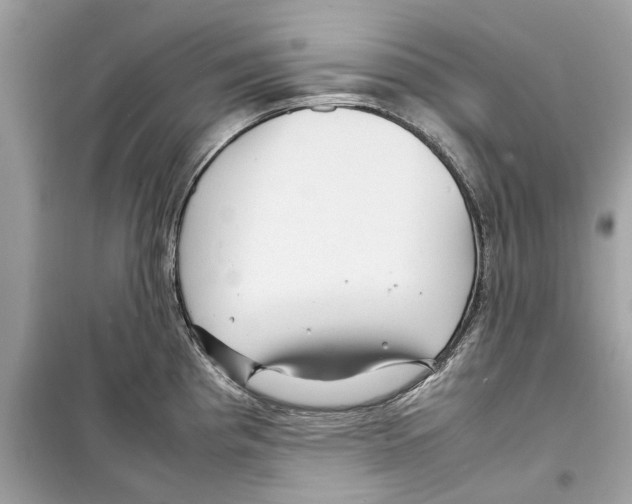 X0000098221193200805221641