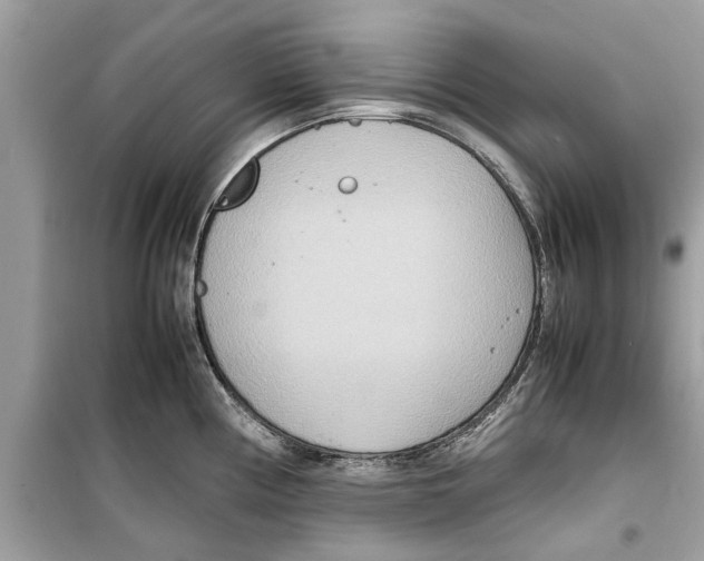 X0000098221194200805221641