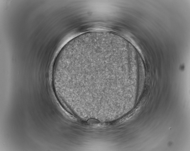 X0000098221195200805221641