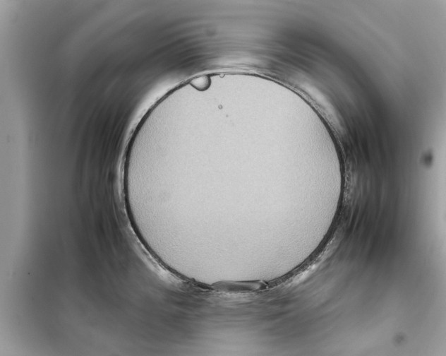 X0000098221196200805221641