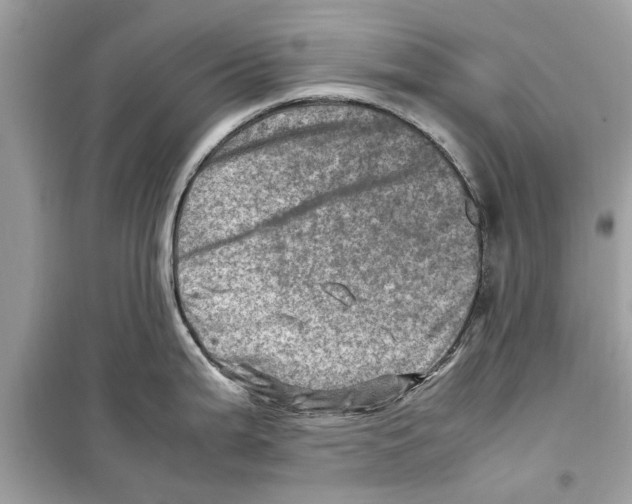 X0000098221199200805221641