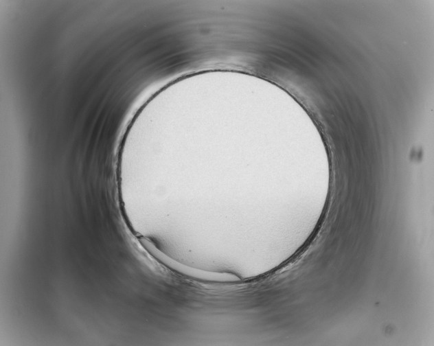 X0000098221200200805221641