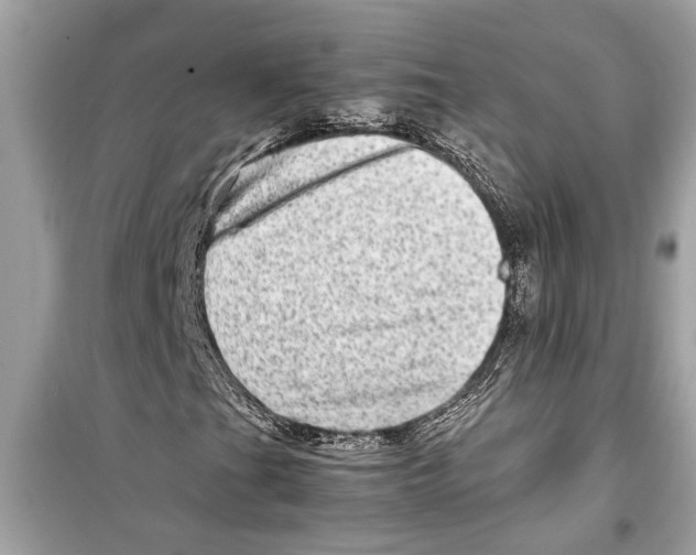 X0000098221201200805221641