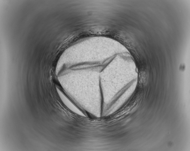 X0000098221202200805221641