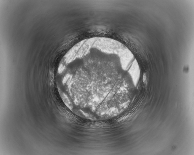 X0000098221203200805221641