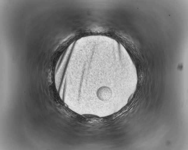 X0000098221205200805221641