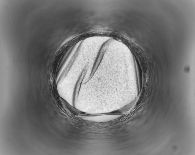 X0000098221206200805221641