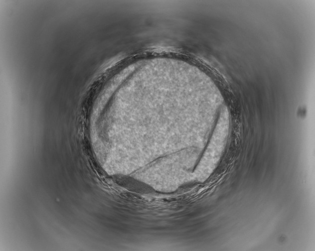 X0000098221207200805221641