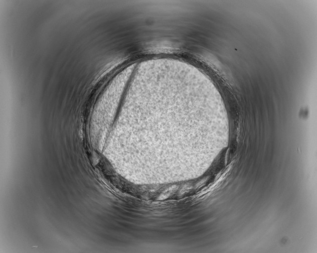 X0000098221209200805221641