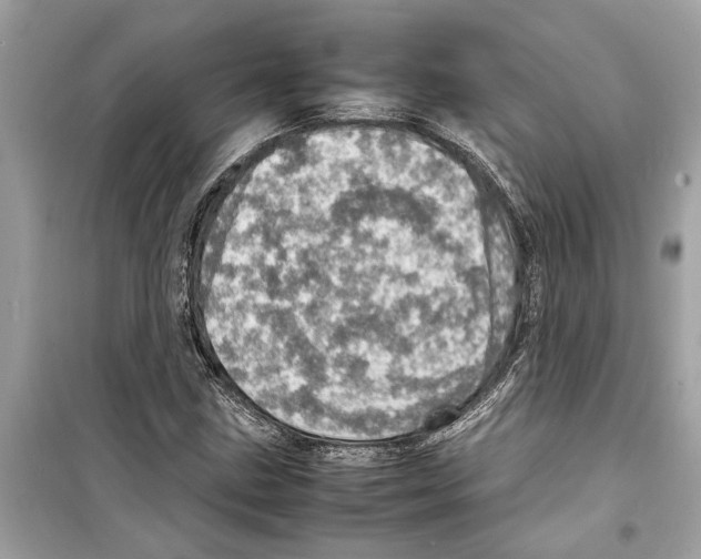 X0000098221211200805221641