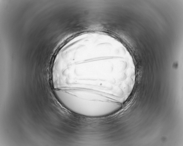 X0000098221212200805221641