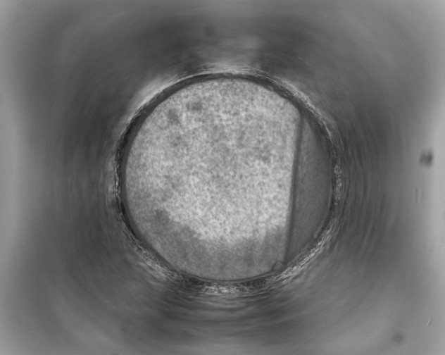 X0000098221215200805221641