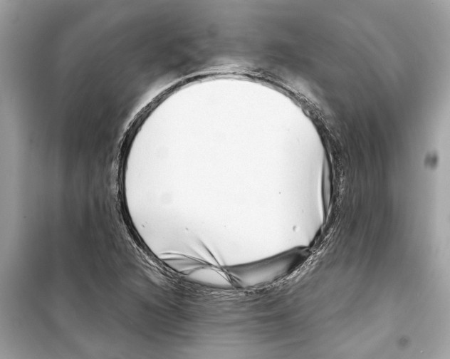 X0000098221216200805221641