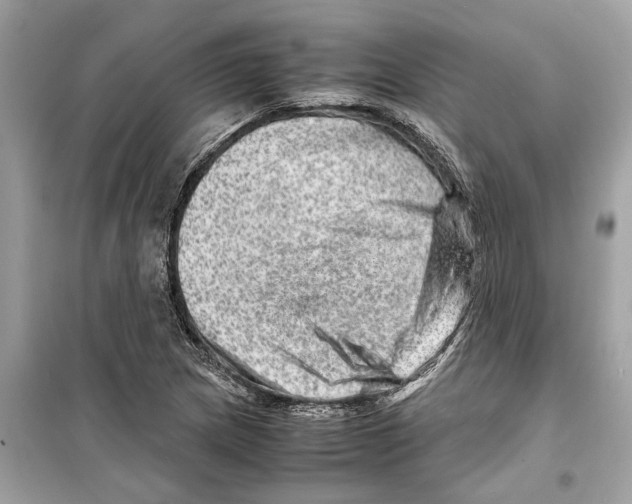 X0000098221217200805221641