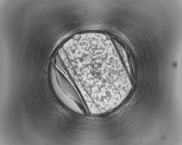 X0000098221218200805221641