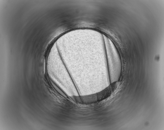 X0000098221219200805221641