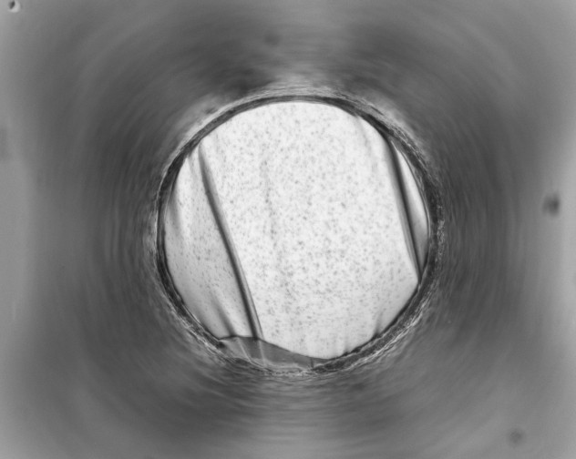 X0000098221220200805221641