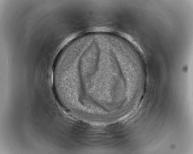 X0000098221221200805221641